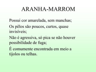 ARANHA-MARROM
Possui cor amarelada, sem manchas;
Os pêlos são poucos, curtos, quase
invisíveis;
Não é agressiva, só pica se não houver
possibilidade de fuga;
É comumente encontrada em meio a
tijolos ou telhas.

 