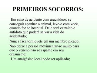 PRIMEIROS SOCORROS:
Em caso de acidente com aracnídeos, se
conseguir apanhar o animal, leve-o com você,
quando for ao hospital. Dele será extraído o
antídoto que poderá salvar a vida do
acidentado;
Nunca faça torniquete em um membro picado;
Não deixe a pessoa movimentar-se muito para
que o veneno não se espalhe em seu
organismo;
Um analgésico local pode ser aplicado;

 