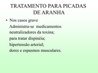 TRATAMENTO PARA PICADAS
DE ARANHA
• Nos casos grave
Administra-se medicamentos
neutralizadores da toxina;
para tratar dispinéia;
hipertensão arterial;
dores e espasmos musculares.

 