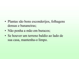 • Plantas são bons esconderijos, folhagens
densas e bananeiras;
• Não ponha a mão em buracos;
• Se houver um terreno baldio ao lado de
sua casa, mantenha-o limpo.

 