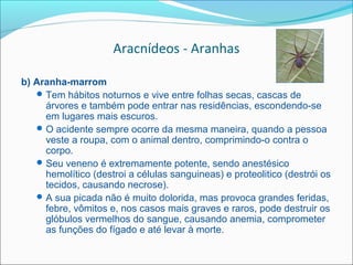 Aracnídeos - Aranhas

b) Aranha-marrom
    Tem hábitos noturnos e vive entre folhas secas, cascas de
     árvores e também pode entrar nas residências, escondendo-se
     em lugares mais escuros.
    O acidente sempre ocorre da mesma maneira, quando a pessoa
     veste a roupa, com o animal dentro, comprimindo-o contra o
     corpo.
    Seu veneno é extremamente potente, sendo anestésico
     hemolítico (destroi a células sanguineas) e proteolitico (destrói os
     tecidos, causando necrose).
    A sua picada não é muito dolorida, mas provoca grandes feridas,
     febre, vômitos e, nos casos mais graves e raros, pode destruir os
     glóbulos vermelhos do sangue, causando anemia, comprometer
     as funções do fígado e até levar à morte.
 