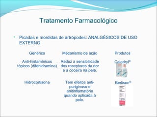 Tratamento Farmacológico

 Picadas e mordidas de artrópodes: ANALGÉSICOS DE USO
  EXTERNO

       Genérico          Mecanismo de ação       Produtos

    Anti-histamínicos    Reduz a sensibilidade   Caladryl®
 tópicos (difenidramina) dos receptores da dor
                          e a coceira na pele.


    Hidrocortisona         Tem efeitos anti-     Berlison®
                             puriginoso e
                            anitinflamatório
                          quando aplicada à
                                  pele.
 