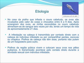 Etiologia

 No caso da piolho que infesta o couro cabeludo, os ovos são
    incubados pelo calor do corpo e chocados entre 6 a 9 dias. Após
    emergirem dos ovos, as ninfas escondidas no couro cabeludo
    alimentam-se de sangue seis vezes por dia, tendo um tempo de vida
    de aproximadamente 21 dias.

    A infestação na cabeça é transmitida por contado direto com a
    cabeça do indivíduo infestado ou por compartilhar pentes, escovas
    ou chapéus. Piolhos de cabeça não têm asas, portanto não pulam
    de um hospedeiro para outro.

 Piolhos da região púbica vivem e colocam seus ovos nos pêlos
    pubianos. A transmissão acontece pelo contato direto durante a
    atividade sexual com indivíduo infestado.
 