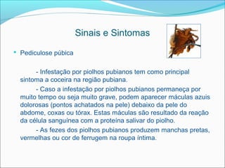 Sinais e Sintomas
 Pediculose púbica


       - Infestação por piolhos pubianos tem como principal
  sintoma a coceira na região pubiana.
       - Caso a infestação por piolhos pubianos permaneça por
  muito tempo ou seja muito grave, podem aparecer máculas azuis
  dolorosas (pontos achatados na pele) debaixo da pele do
  abdome, coxas ou tórax. Estas máculas são resultado da reação
  da célula sanguínea com a proteína salivar do piolho.
       - As fezes dos piolhos pubianos produzem manchas pretas,
  vermelhas ou cor de ferrugem na roupa íntima.
 