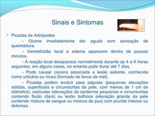 Sinais e Sintomas
 Picadas de Artrópodes
        - Ocorre imediatamente dor aguda com sensação de
  queimadura.
        - Vermelhidão local e edema aparecem dentro de poucos
  minutos.
        - A reação local desaparece normalmente durante as 4 a 6 horas
  seguintes, em alguns casos, no entanto pode durar até 7 dias.
        - Pode causar coceira associada a lesão saliente, conhecida
  como urticária ou hives (formado de favos de mel).
        - Picadas podem evoluir para pápulas (pequenas elevações
  sólidas, superficiais e circunscritas da pele, com menos de 1 cm de
  diâmetro), vesículas (elevações da epiderme pequenas e circunscritas
  contendo fluido claro) ou lesão bolhosa (elevação grande da pele
  contendo mistura de sangue ou mistura de pus) com prurido intenso ou
  dolorosa.
 