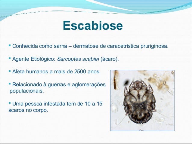Picadas e mordidas de artrópodes, pediculose e escabiose