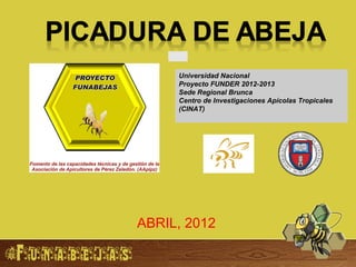 Universidad Nacional
     Proyecto FUNDER 2012-2013
     Sede Regional Brunca
     Centro de Investigaciones Apícolas Tropicales
     (CINAT)




ABRIL, 2012
 