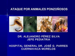 ATAQUE POR ANIMALES PONZOÑOSOS
DR. ALEJANDRO PÉREZ SILVA
JEFE PEDIATRIA
HOSPITAL GENERAL DR. JOSÉ G. PARRES
CUERNAVACA MORELOS
 