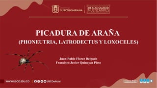 PICADURA DE ARAÑA ​
(PHONEUTRIA, LATRODECTUS Y LOXOCELES)
Juan Pablo Florez Delgado
Francisco Javier Quinayas Pisso​
 