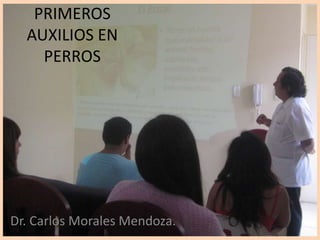 PRIMEROS
AUXILIOS EN
PERROS

Dr. Carlos Morales Mendoza.

 