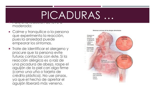 Que es necesario para aumentar el pecho