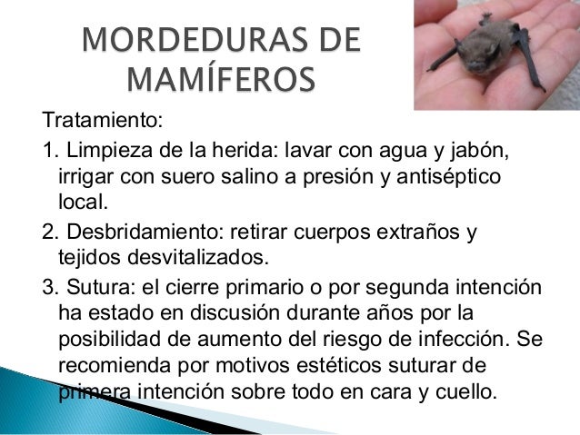 El tratamiento de la inflamación purulenta bajo la uña