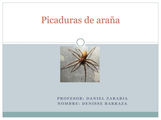 Picaduras de araña 
PROFESOR: DANIEL ZARABIA 
NOMBRE: DENISSE BARRAZA 
 