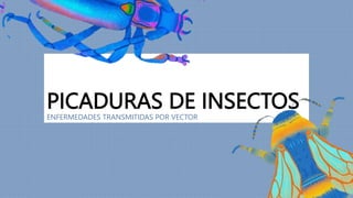 PICADURAS DE INSECTOS
ENFERMEDADES TRANSMITIDAS POR VECTOR
 
