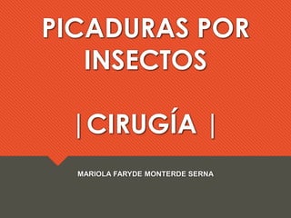 PICADURAS POR
INSECTOS
|CIRUGÍA |
MARIOLA FARYDE MONTERDE SERNA
 
