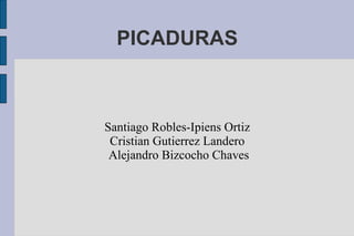 PICADURAS Santiago Robles-Ipiens Ortiz Cristian Gutierrez Landero Alejandro Bizcocho Chaves 