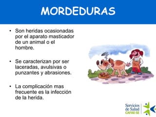 MORDEDURAS
• Son heridas ocasionadas
por el aparato masticador
de un animal o el
hombre.
• Se caracterizan por ser
laceradas, avulsivas o
punzantes y abrasiones.
• La complicación mas
frecuente es la infección
de la herida.
 