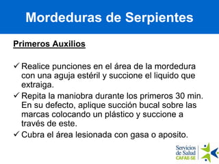 Primeros Auxilios
 Realice punciones en el área de la mordedura
con una aguja estéril y succione el liquido que
extraiga.
 Repita la maniobra durante los primeros 30 min.
En su defecto, aplique succión bucal sobre las
marcas colocando un plástico y succione a
través de este.
 Cubra el área lesionada con gasa o aposito.
Mordeduras de Serpientes
 