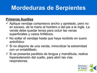 Primeros Auxilios
 Aplique vendaje compresivo ancho y apretado, pero no
en exceso, de la mano al hombro o del pie a la ingle. La
venda debe quedar tensa para ocluir las venas
superficiales y vasos linfáticos.
 No soltar el vendaje hasta que haya recibido en suero
antiofídico
 Si no dispone de una venda, inmovilizar la extremidad
con un entablillado.
 Si se presenta parálisis de lengua y mandíbula, realice
hiperextensión del cuello, para abrir las vías
respiratorias.
Mordeduras de Serpientes
 