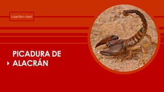 Picadura y mordedura de alacrán | PDF
