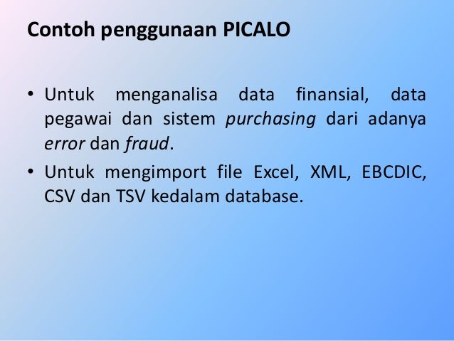 Picalo Tool Audit