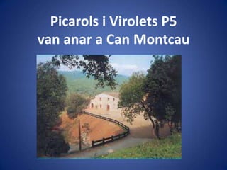 Picarols i Virolets P5
van anar a Can Montcau
 