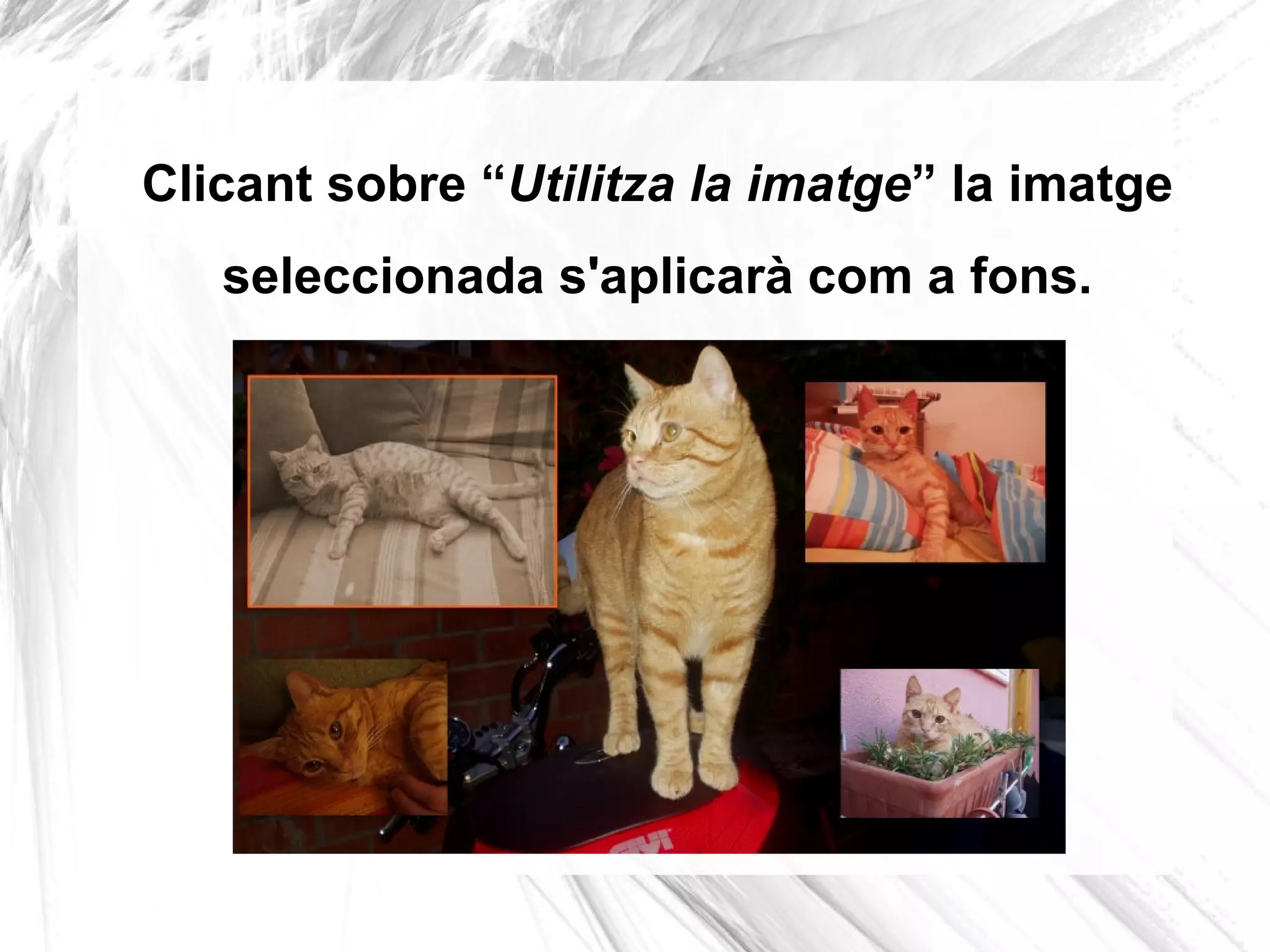 Clicant sobre “Utilitza la imatge” la imatge
   seleccionada s'aplicarà com a fons.
 