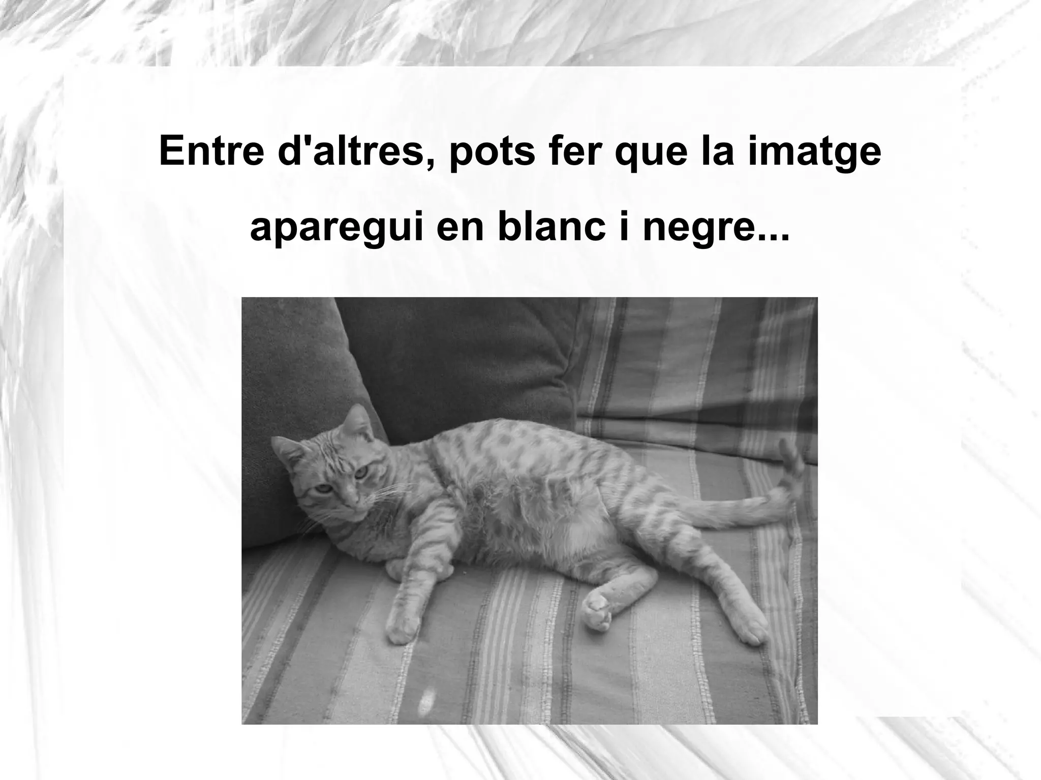 Entre d'altres, pots fer que la imatge
    aparegui en blanc i negre...
 