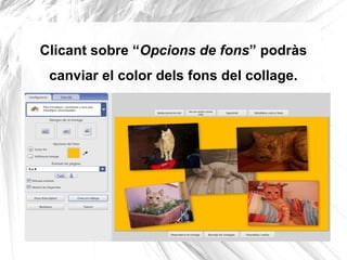 Clicant sobre “Opcions de fons” podràs
 canviar el color dels fons del collage.
 