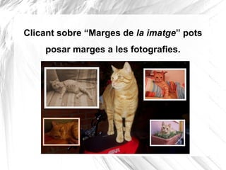 Clicant sobre “Marges de la imatge” pots
    posar marges a les fotografies.
 