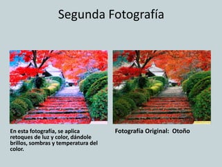 Segunda Fotografía




En esta fotografía, se aplica        Fotografía Original: Otoño
retoques de luz y color, dándole
brillos, sombras y temperatura del
color.
 
