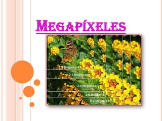 MEGAPÍXELES