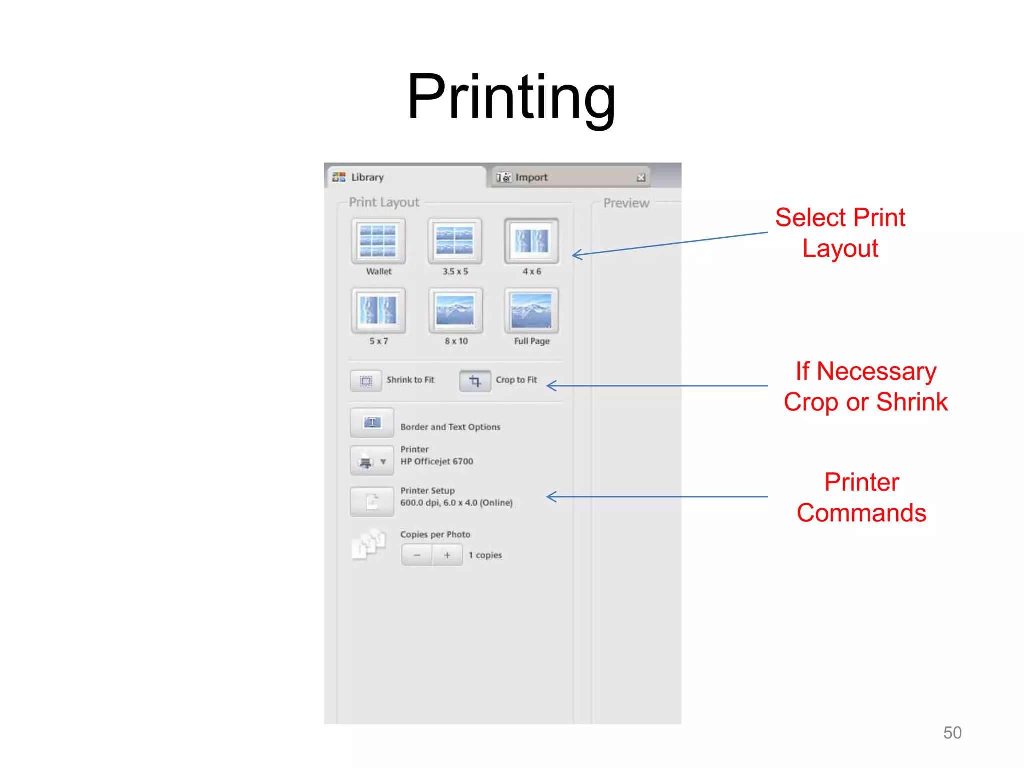 Printing 
If Necessary 
Crop or Shrink 
50 
Select Print 
Layout 
Printer 
Commands 
 