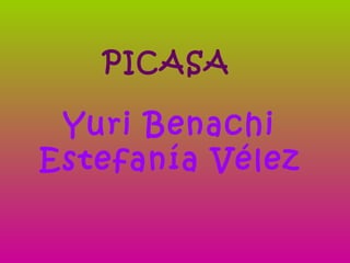 PICASA   Yuri Benachi Estefanía Vélez  