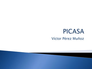 PICASA Víctor Pérez Muñoz 