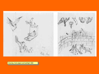 Drawing, Cock pigeon  and bullfigth 1890 