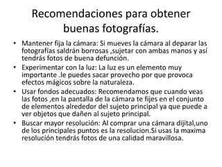 Recomendaciones para obtener
buenas fotografías.
• Mantener fija la cámara: Si mueves la cámara al deparar las
fotografías saldrán borrosas ,sujetar con ambas manos y así
tendrás fotos de buena defunción.
• Experimentar con la luz: La luz es un elemento muy
importante .le puedes sacar provecho por que provoca
efectos mágicos sobre la naturaleza.
• Usar fondos adecuados: Recomendamos que cuando veas
las fotos ,en la pantalla de la cámara te fijes en el conjunto
de elementos alrededor del sujeto principal ya que puede a
ver objetos que dañen al sujeto principal.
• Buscar mayor resolución: Al comprar una cámara dijital,uno
de los principales puntos es la resolucion.Si usas la maxima
resolución tendrás fotos de una calidad maravillosa.

 