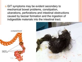  GIT symptoms may be evident secondary to
mechanical bowel problems, constipation,
ulcerations, perforations and intestinal obstructions
caused by bezoar formation and the ingestion of
indigestible materials into the intestinal tract.
 