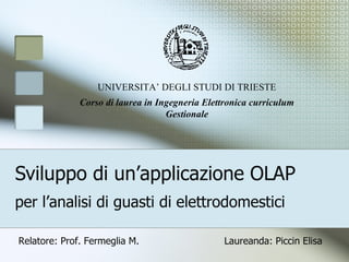 Sviluppo di un’applicazione OLAP per l’analisi di guasti di elettrodomestici UNIVERSITA’ DEGLI STUDI DI TRIESTE Corso di laurea in Ingegneria Elettronica curriculum Gestionale Relatore: Prof. Fermeglia M. Laureanda: Piccin Elisa 