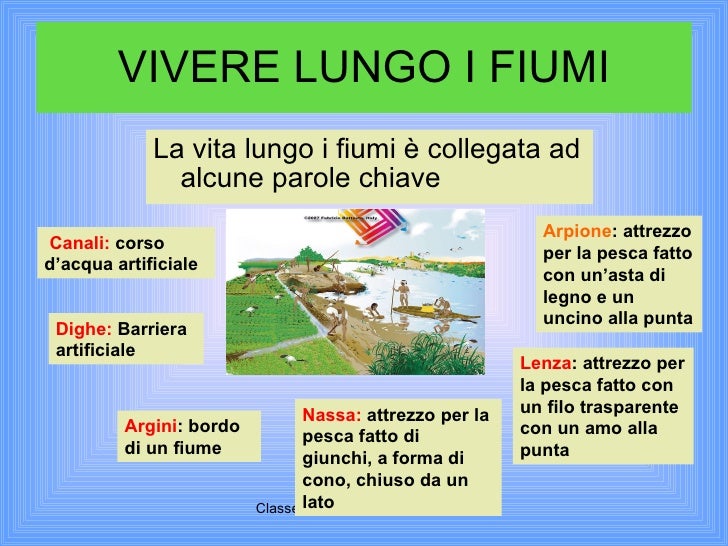 Reparto di petto di un sudore di spina dorsale