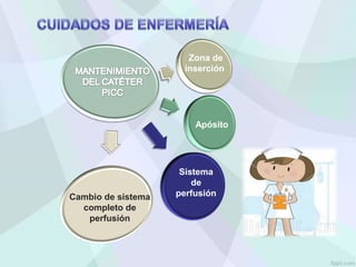 Zona de
inserción
Apósito
Sistema
de
perfusión
Cambio de sistema
completo de
perfusión
 