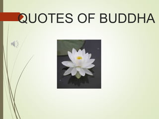 QUOTES OF BUDDHA
 