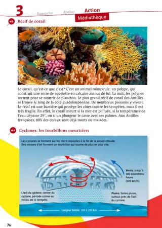 Atelier Action
Approche
Récif de corail
Médiathèque
Le corail, qu’est-ce que c’est? C’est un animal minuscule, un polype, qui
construit une sorte de squelette en calcaire autour de lui. La nuit, les polypes
sortent pour se nourrir de plancton. Le plus grand récif de corail des Antilles
se trouve le long de la côte guadeloupéenne. De nombreux poissons y vivent.
Le récif est une barrière qui protège les côtes contre les tempêtes, mais il est
très fragile. En effet, le corail meurt si la mer est polluée, si la température de
l’eau dépasse 29°, ou si un plongeur le casse avec ses palmes. Aux Antilles
françaises, 80% des coraux sont déjà morts ou malades.
Cyclones: les tourbillons m eurtriers
Les cyclones se forment sur les mers tropicales à la fin de la saison chaude.
Des masses d’air forment un tourbillon qui tourne de plus en plus vite.
L’œil du cyclone: centre du
cyclone, période calme au
milieu de la tempête.
Pluies: fortes pluies,
surtout près de l’œil
du cyclone.
Largeur totale: 100 a 200 km.
Vents: jusqu’à
300 kilomètres-
heure
(300 km/h).
74
 