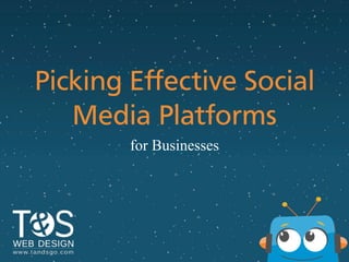 Picking Eﬀective Social
Media Platforms
for Businesses
 