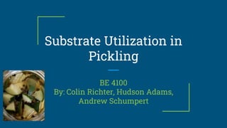 Substrate Utilization in
Pickling
BE 4100
By: Colin Richter, Hudson Adams,
Andrew Schumpert
 