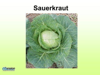 tie loosely in clean cheesecloth bag 