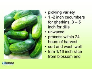 pickling variety