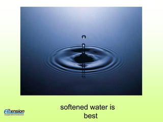 1 -2 inch cucumbers for gherkins, 3 – 5 inch for dills 