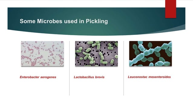 Pickling | PPTX | Chemistry | Science