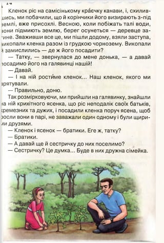І А**
Кленок ріс на самісінькому краєчку канави, і, схилив-
иись, ми побачили, що й корінчики його визирають з-під
землі, вже присохлі. Весною, коли побіжать талі води,
зони підмиють землю, берег осунеться — деревце за­
пне. Зваживши все це, ми пішли додому, взяли заступа,
зикопали кленка разом із грудкою чорнозему. Викопали
л замислились — де ж його посадити?
— Татку, — звернулася до мене донька, — а давай
посадимо його на галявинці нашій!
— Давай.
— І на ній ростиме кленок... Наш кленок, якого ми
зрятували.
— Правильно, доню.
Так розмірковуючи, ми прийшли на галявинку, знайшли
на ній крихітного ясенка, що ріс неподалік своїх батьків,
сремезних та дужих, і посадили кленка поруч ясена, щоб
посли вони в парі, не заважали один одному і були щири­
ли друзями.
— Кленок і ясенок — братики. Еге ж, татку?
— Братики.
— А давай ще й сестричку до них поселимо?
— Сестричку? Це думка... Буде в них дружна сімейка.
 